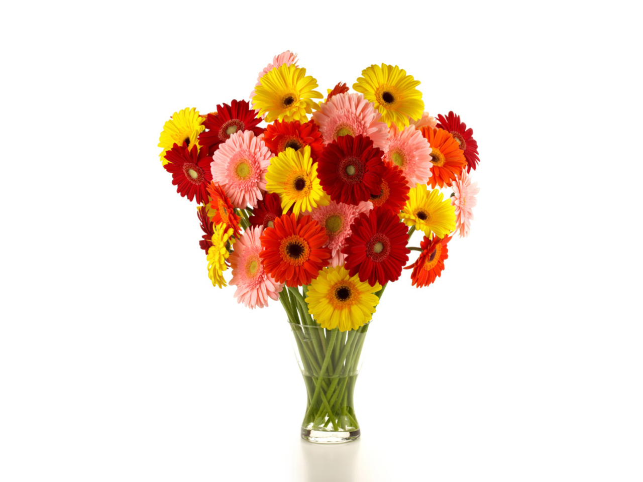 Gerbera Daisy Bouquets wallpaper 1280x960