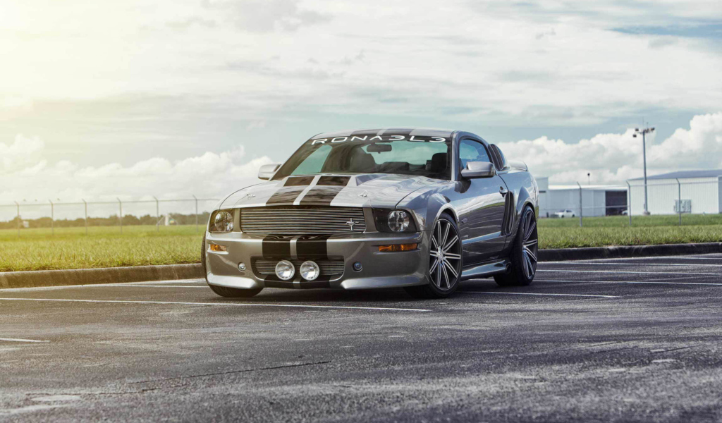 Screenshot №1 pro téma Silver Ford Mustang 1024x600