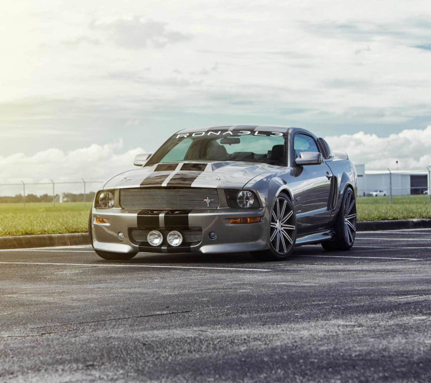 Silver Ford Mustang wallpaper 1440x1280