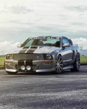 Silver Ford Mustang screenshot #1 176x220