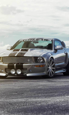 Das Silver Ford Mustang Wallpaper 240x400