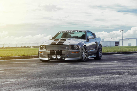 Silver Ford Mustang wallpaper 480x320