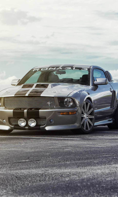 Silver Ford Mustang wallpaper 480x800