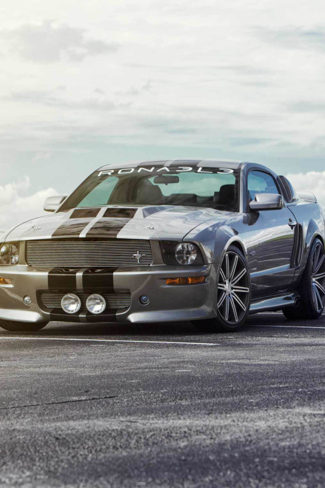 Silver Ford Mustang screenshot #1 640x960