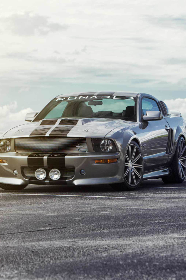 Screenshot №1 pro téma Silver Ford Mustang 640x960