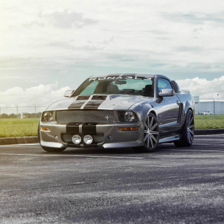 Free Silver Ford Mustang Picture for iPad