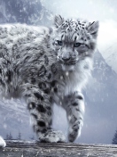 Das White Leopard Wallpaper 132x176