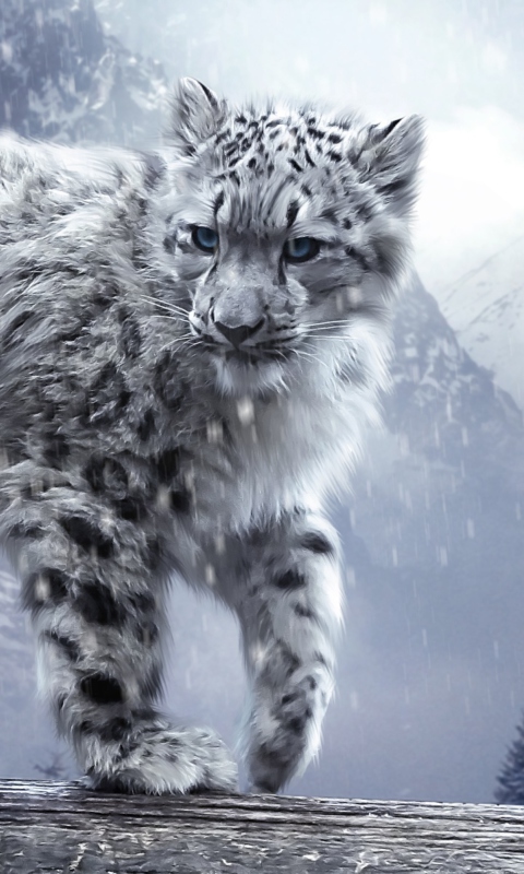 Das White Leopard Wallpaper 480x800