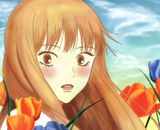 Kimi Ni Todoke wallpaper 176x144