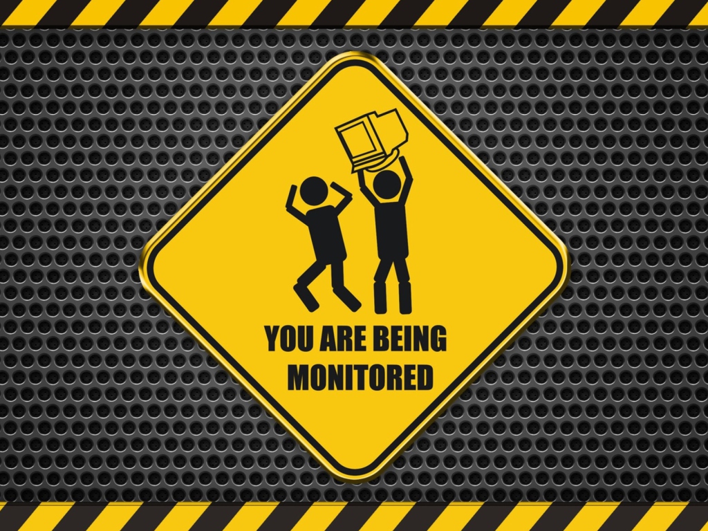 You Are Being Monitored wallpaper 1024x768