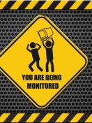 You Are Being Monitored screenshot #1 132x176
