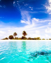 Maldives Island screenshot #1 176x220