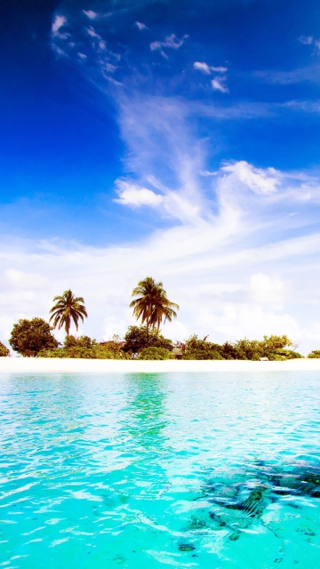 Maldives Island wallpaper 360x640