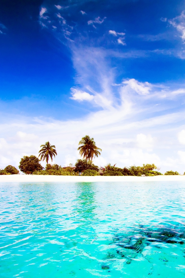 Sfondi Maldives Island 640x960