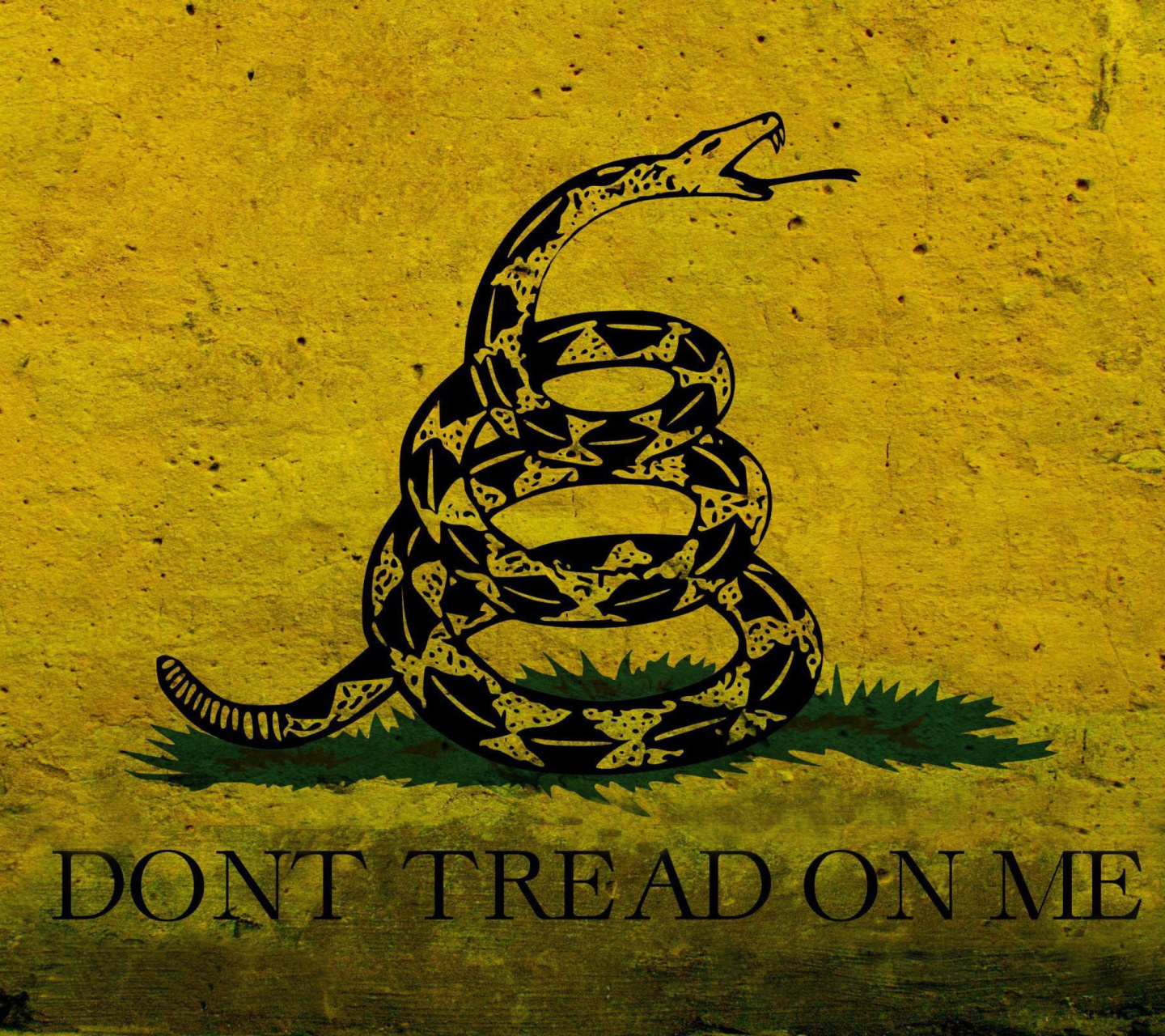 Gadsden flag, Dont tread on me screenshot #1 1440x1280