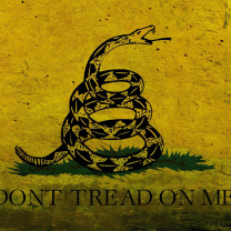 Fondo de pantalla Gadsden flag, Dont tread on me 208x208