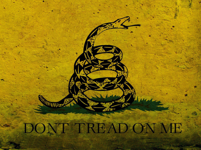 Screenshot №1 pro téma Gadsden flag, Dont tread on me 640x480