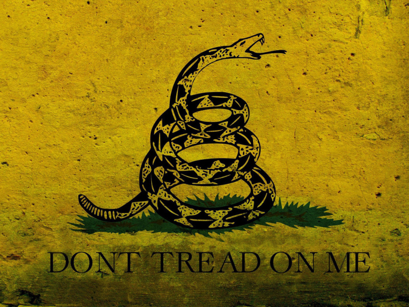 Обои Gadsden flag, Dont tread on me 800x600