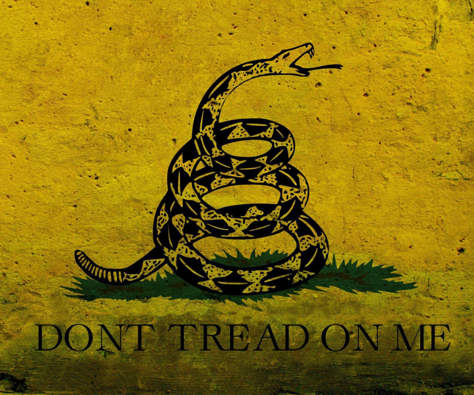 Das Gadsden flag, Dont tread on me Wallpaper 960x800