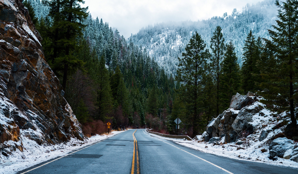 Forest Road in Winter wallpaper 1024x600