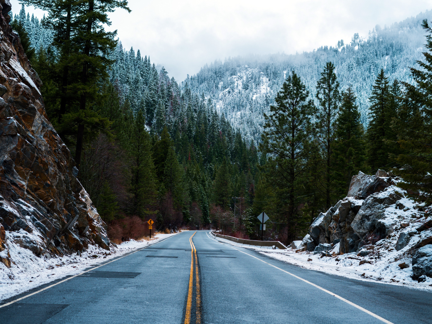 Обои Forest Road in Winter 1400x1050