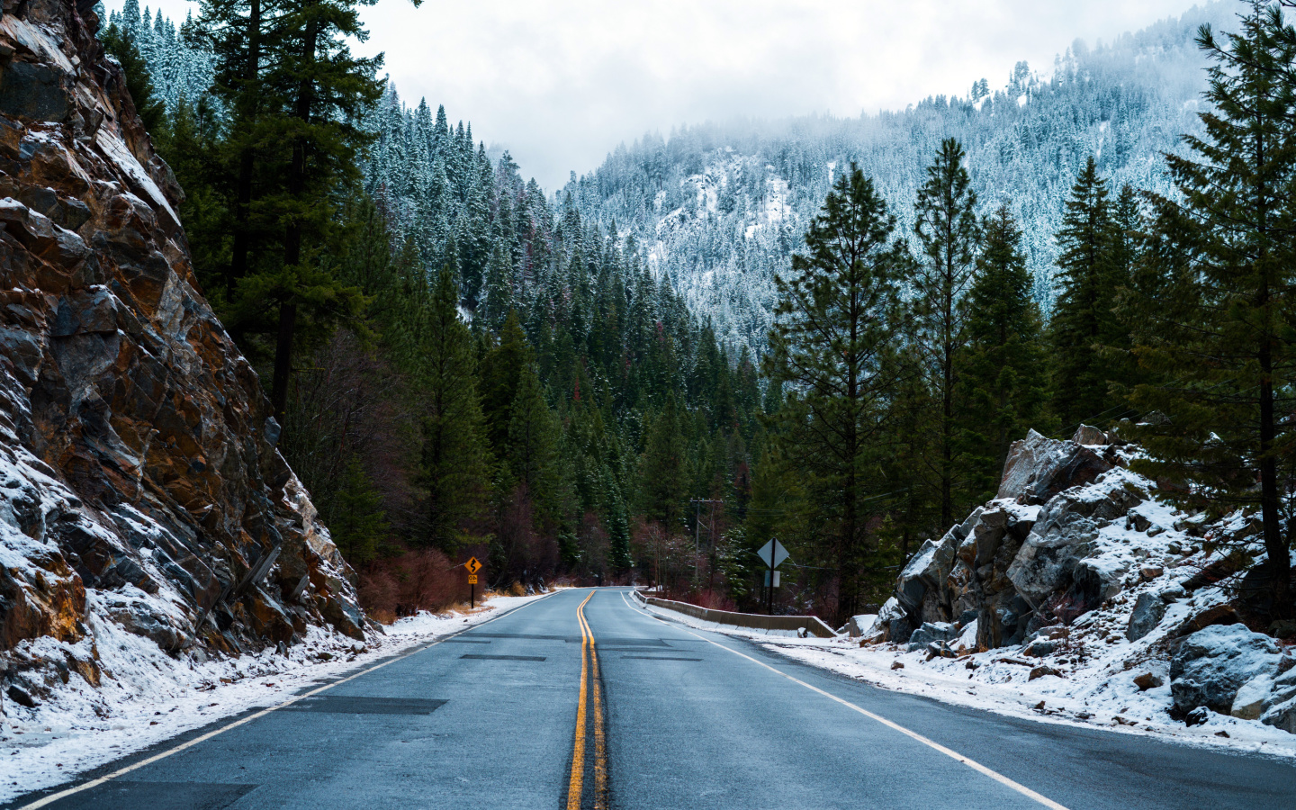 Fondo de pantalla Forest Road in Winter 1440x900