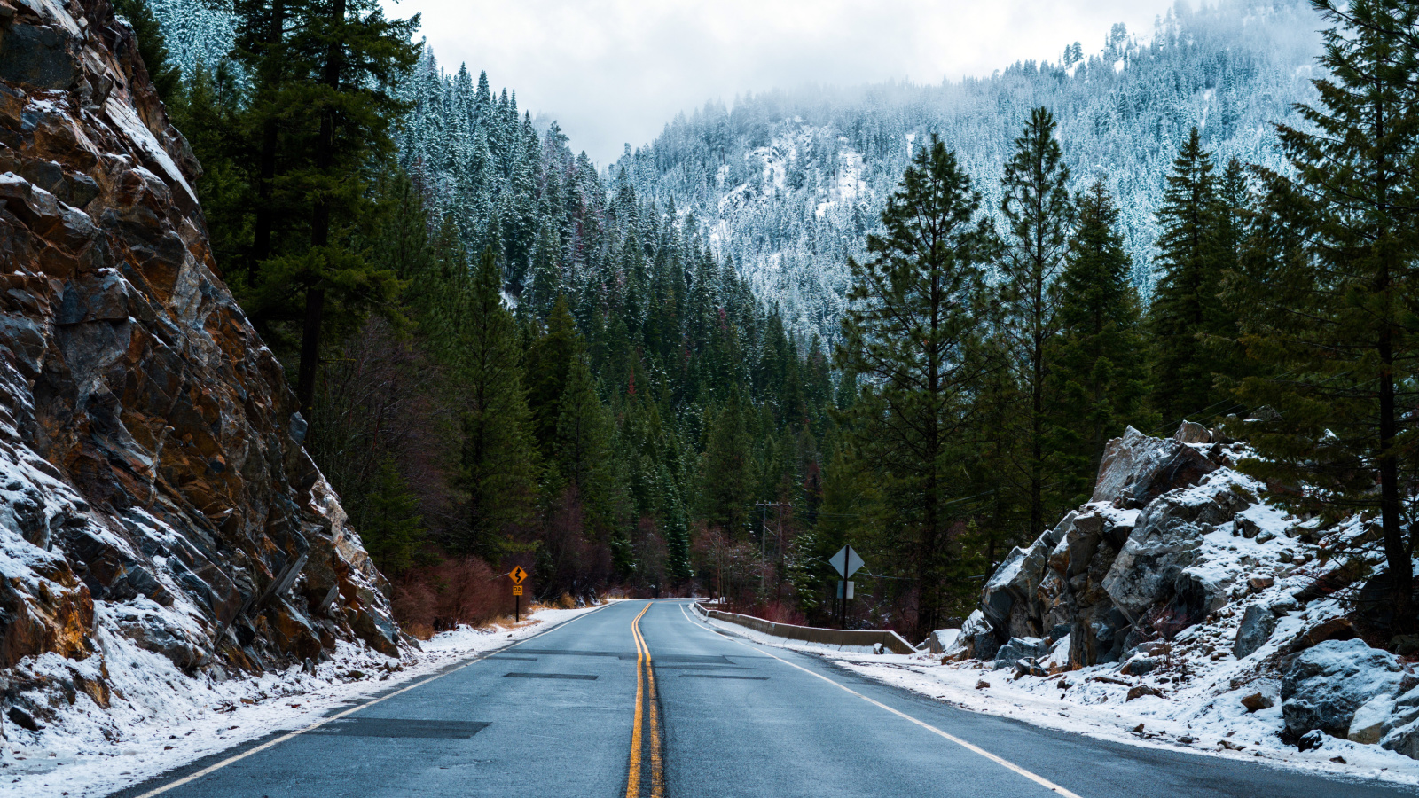 Sfondi Forest Road in Winter 1600x900