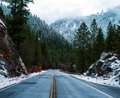 Fondo de pantalla Forest Road in Winter 176x144