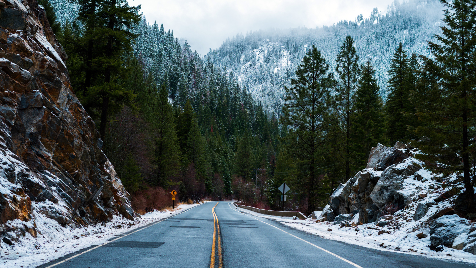 Forest Road in Winter wallpaper 1920x1080