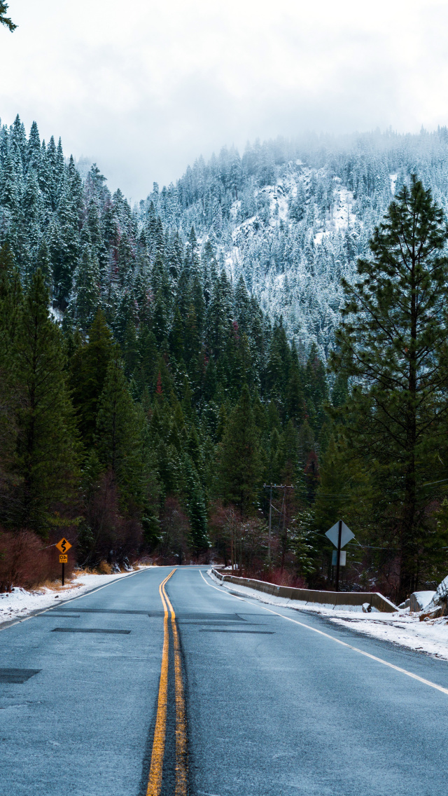 Das Forest Road in Winter Wallpaper 640x1136