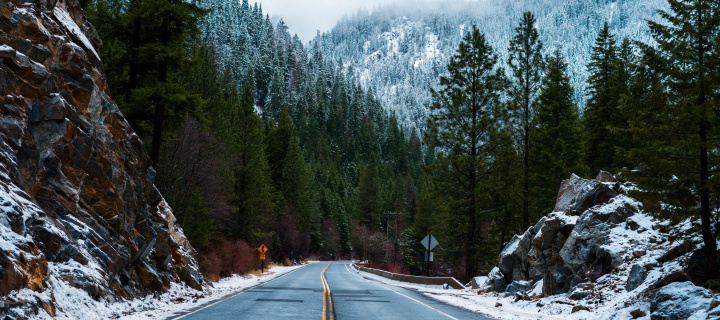 Forest Road in Winter wallpaper 720x320