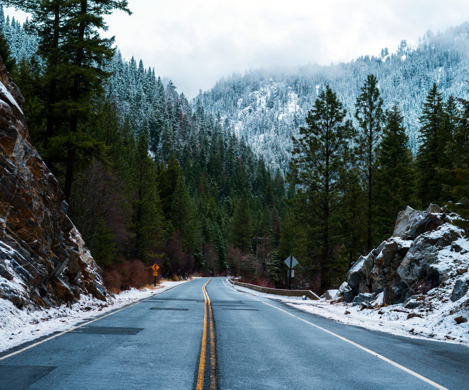 Das Forest Road in Winter Wallpaper 960x800