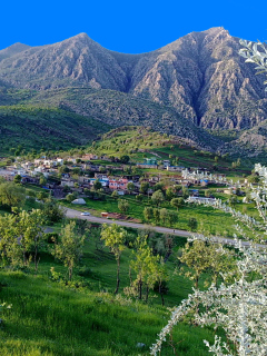 Mountains In Japan screenshot #1 240x320