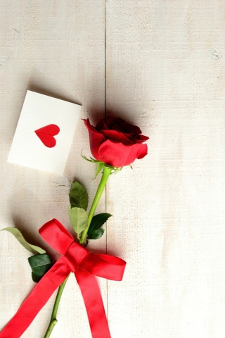Обои Love Letter And Red Rose 320x480