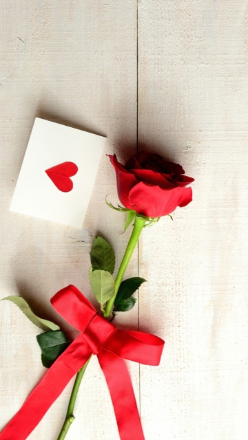 Das Love Letter And Red Rose Wallpaper 360x640