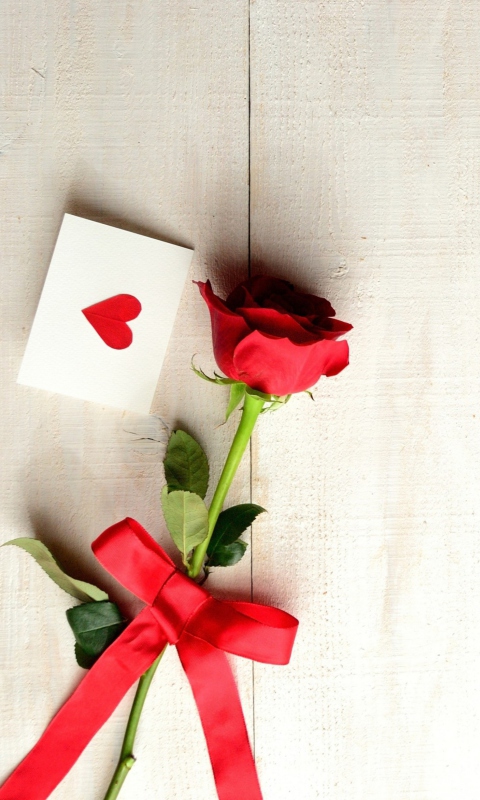 Love Letter And Red Rose wallpaper 480x800