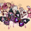 Screenshot №1 pro téma Butterflies 128x128