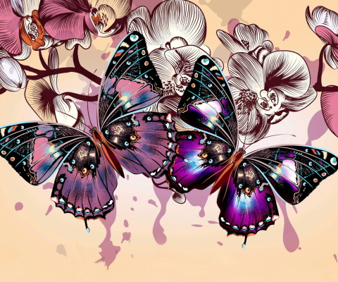 Butterflies wallpaper 480x400