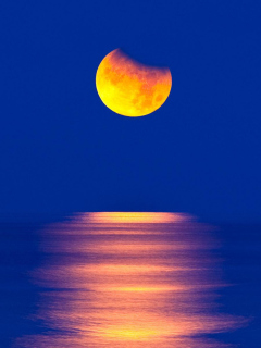 Das Orange Moon In Blue Sky Wallpaper 240x320