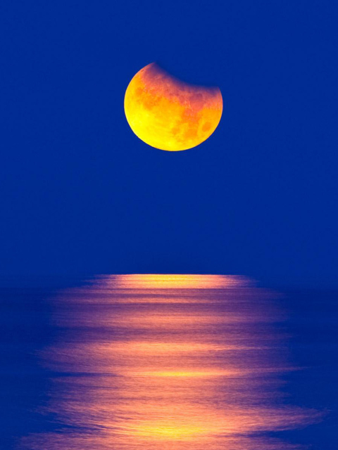 Das Orange Moon In Blue Sky Wallpaper 480x640
