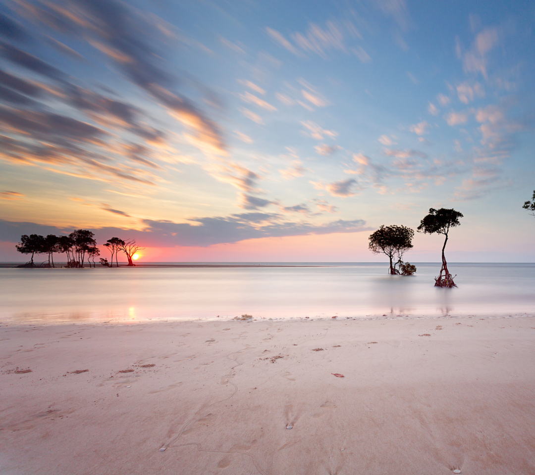 Fondo de pantalla Trees Silhouettes At Pinky Sunset 1080x960