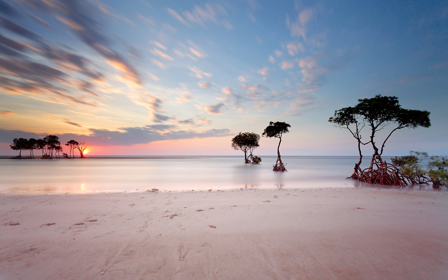 Fondo de pantalla Trees Silhouettes At Pinky Sunset 1440x900