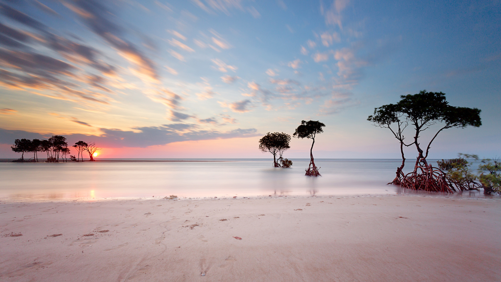 Das Trees Silhouettes At Pinky Sunset Wallpaper 1920x1080