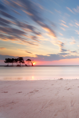 Fondo de pantalla Trees Silhouettes At Pinky Sunset 320x480