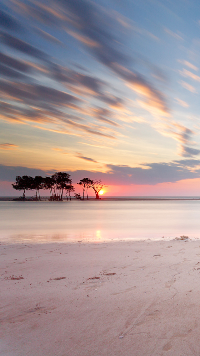 Das Trees Silhouettes At Pinky Sunset Wallpaper 640x1136