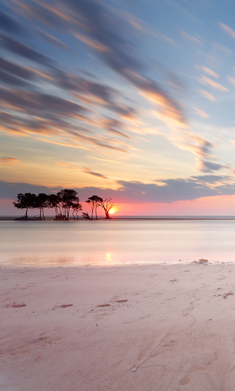 Fondo de pantalla Trees Silhouettes At Pinky Sunset 768x1280