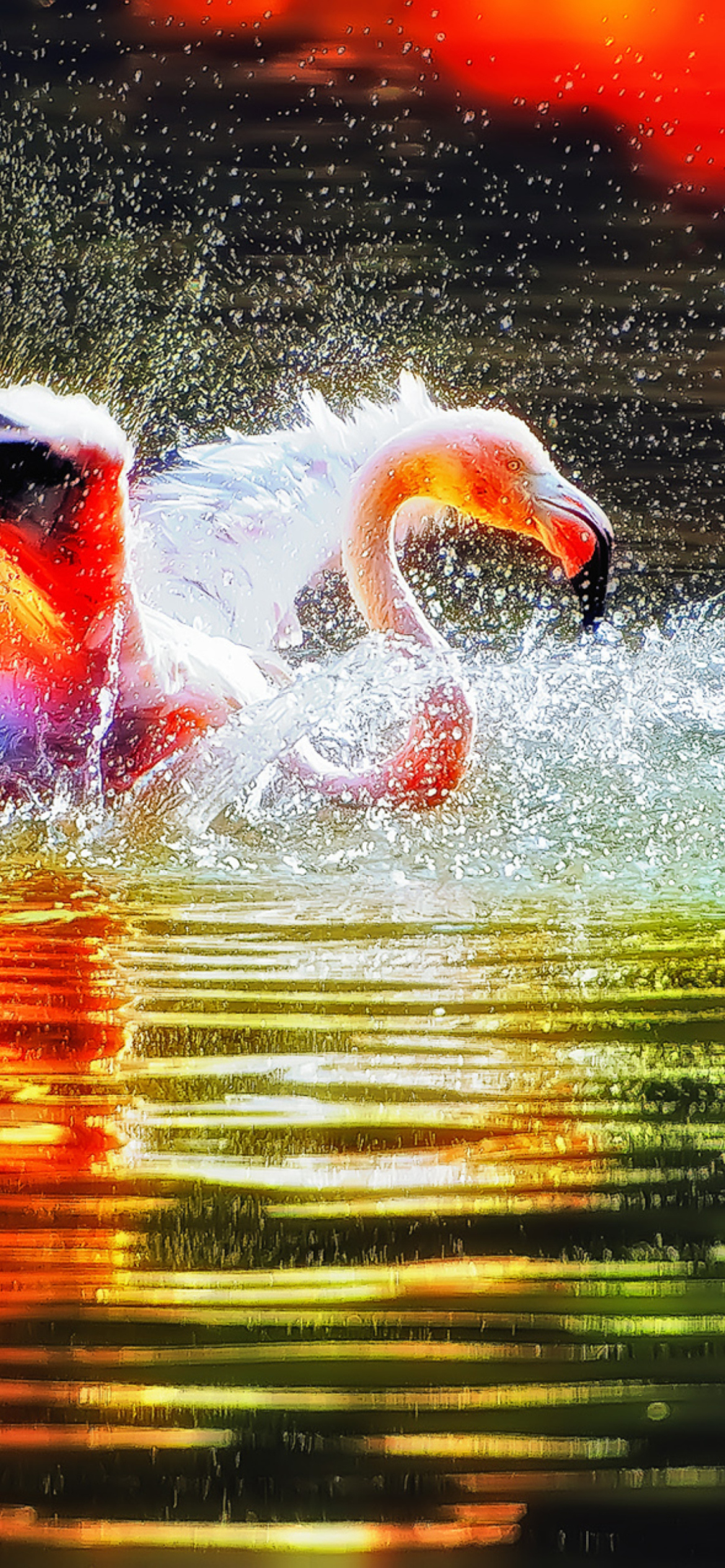 Pink Flamingo Enjoying Water wallpaper 1170x2532