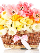 Tulips Basket wallpaper 132x176