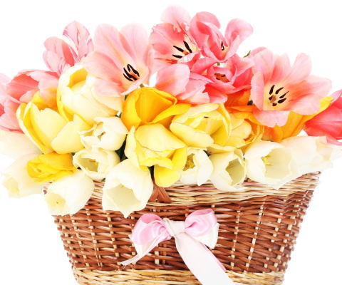 Tulips Basket wallpaper 480x400