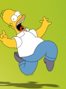 Homer Simpson screenshot #1 132x176
